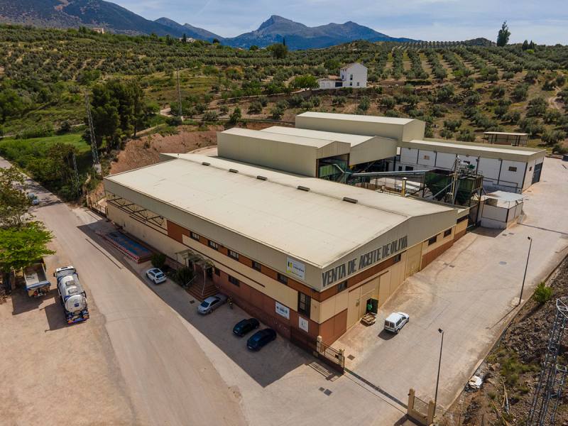 Imagen de Maestro almazara aceite oliva