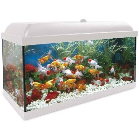 Imagen de Accesorios acuario completo tropical