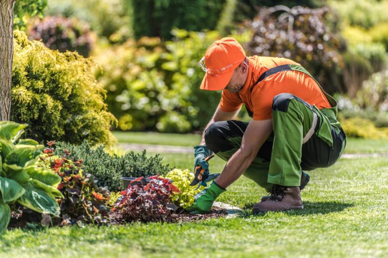 Imagen de Jardinier paysagiste méditerranéen spécialiste